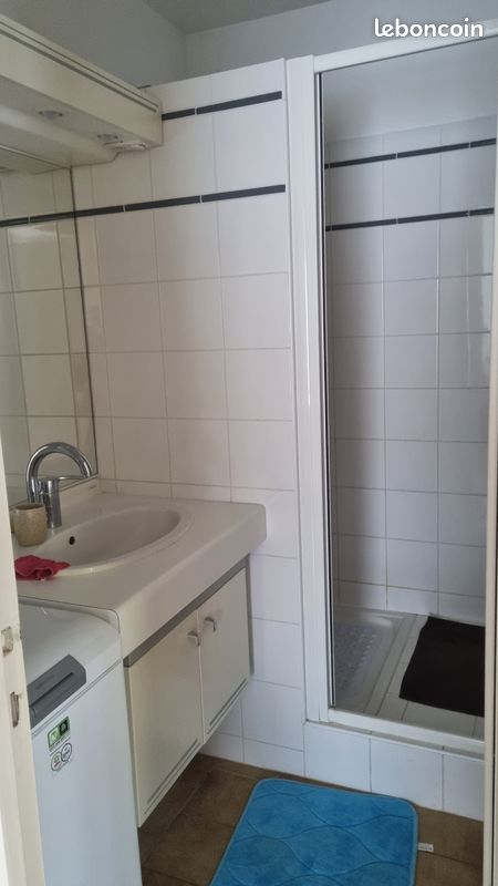 Appartement lumineux RDC (image 7)
