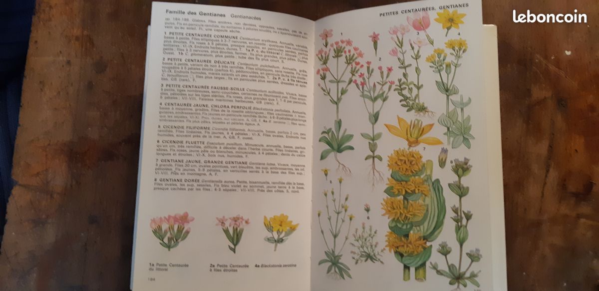 Guide des fleurs sauvages (image 4)