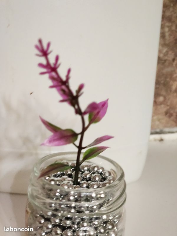 Plante artificielle pour décoration (image 12)