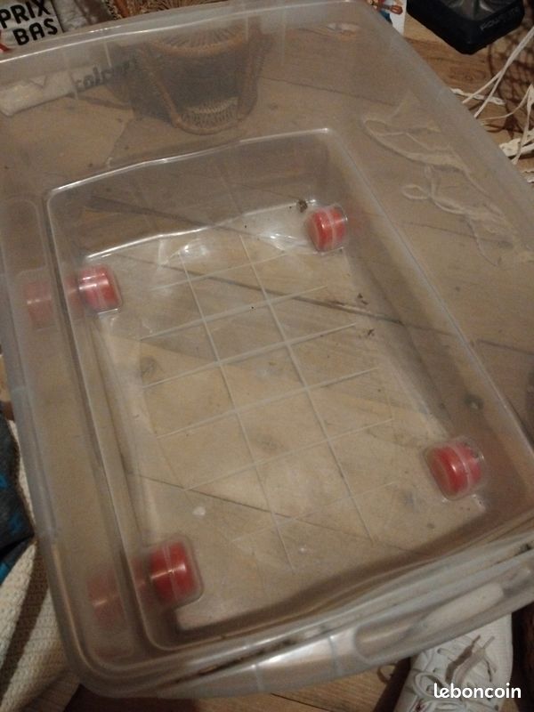 Caisse plastique (image 1)