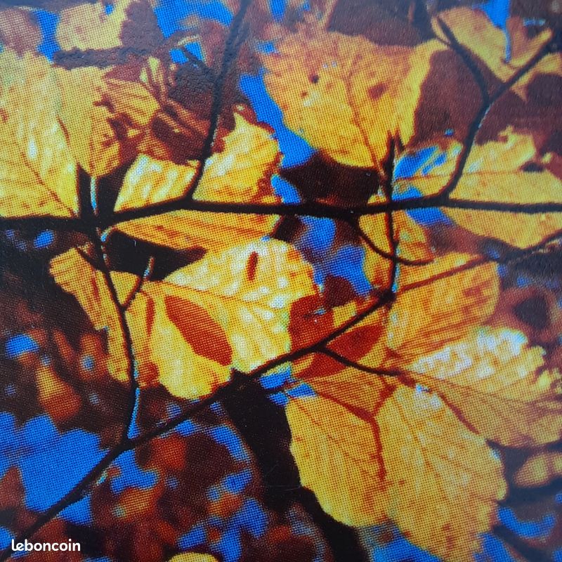 DISQUE VINYLE - Yves MONTAND (image 7)