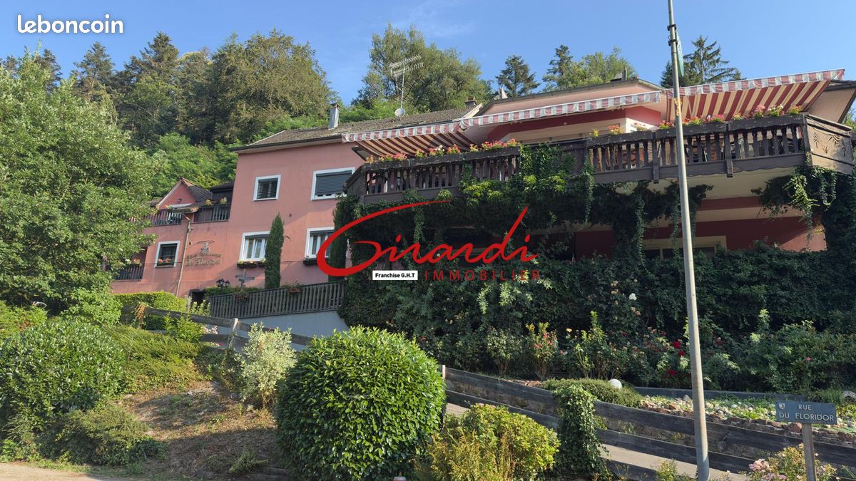 Immeuble 1400 m² · à Thann · 1 400 m² · 525 000 €