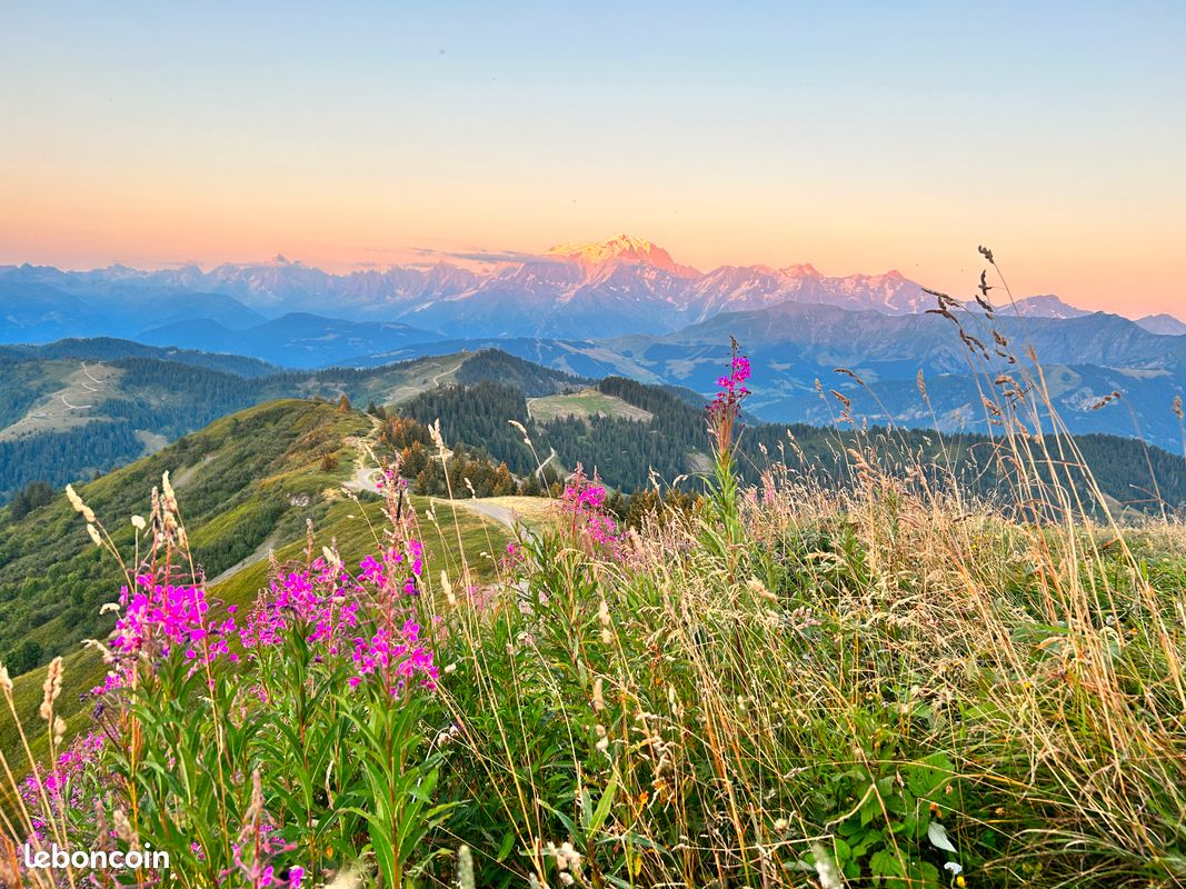 Ete 2026 / 4 à 6 personnes - La Giettaz - Megève - La Clusaz - Les Aravis (image 11)