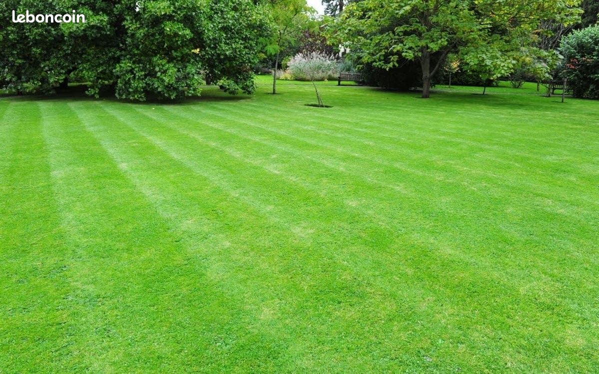 Terrain 954 m² · à Monnaie · 119 800 €