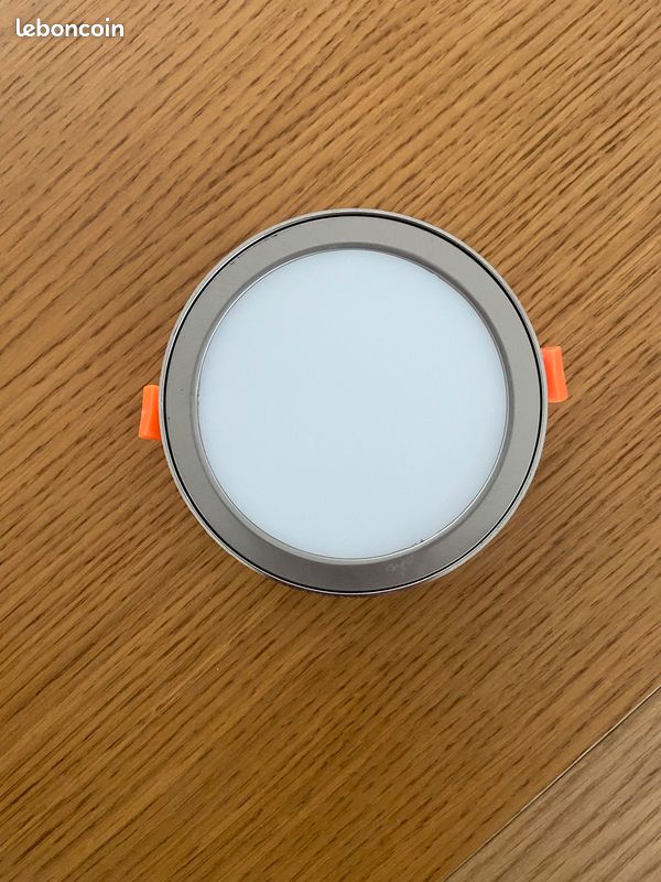 Spot (image 1)