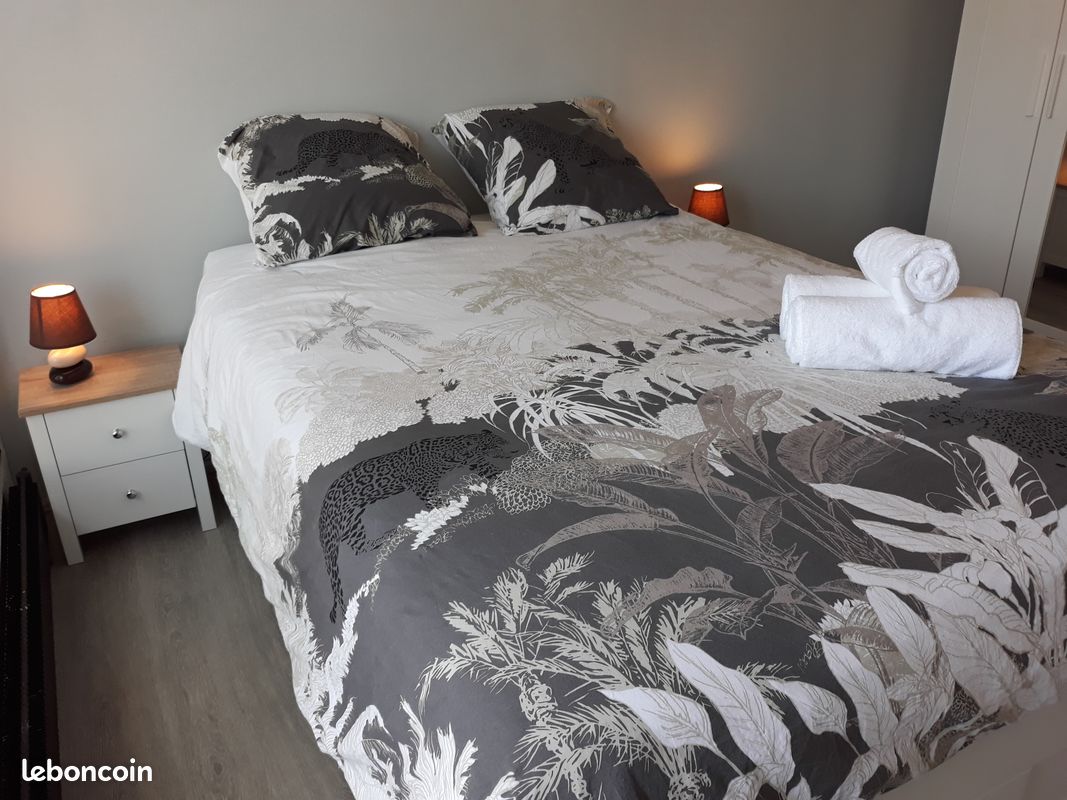 Appartement 1 pièce 21 m² · à Royat · 21 m² · 550 €/mois