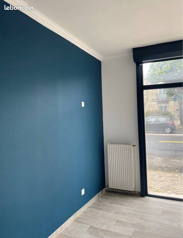 Peintre Professionnel - Autres services