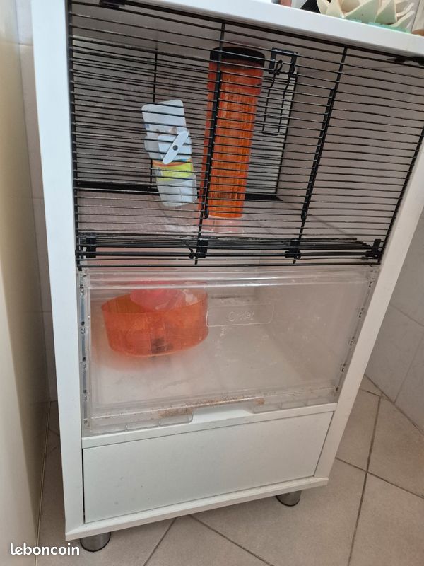 Cage Omlet hamster (image 3)