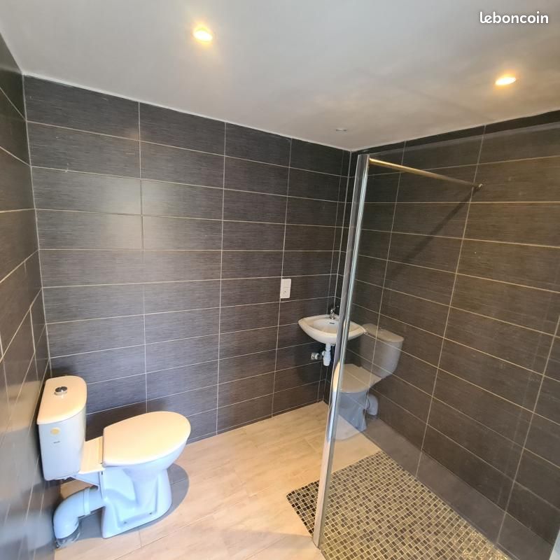 Maison 2 pièces 56 m² - Saint-Jean-de-Lier 40380 (image principale 5)
