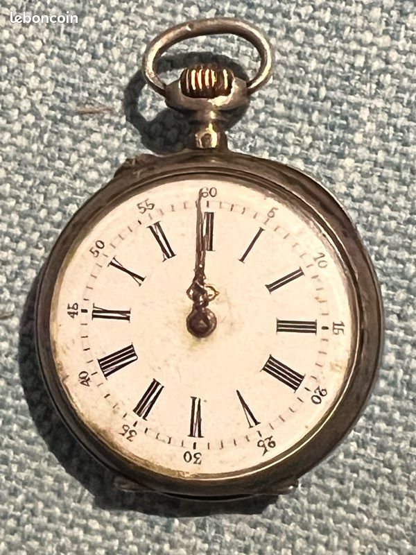 Montre Gousset Ancienne - Boîtier Argent Poinçon Crabe, Vintage Et Unique