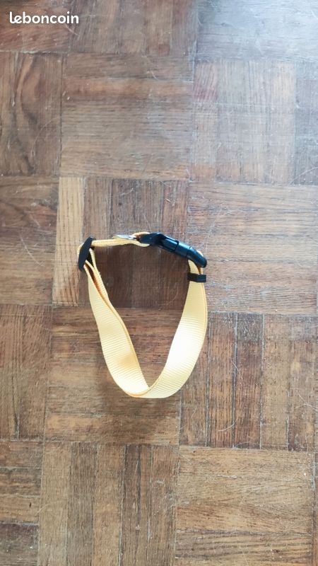 Collier chien taille L jaune (image 1)