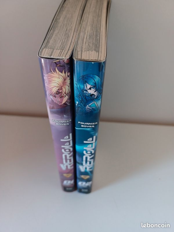 Livre manga (image 2)