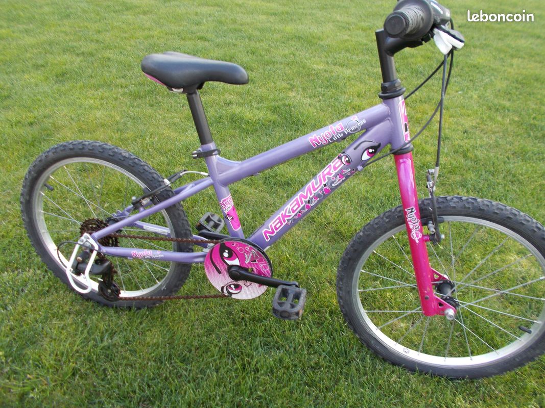 Vélo VTT 20 pouces 5-8 ans (image 1)