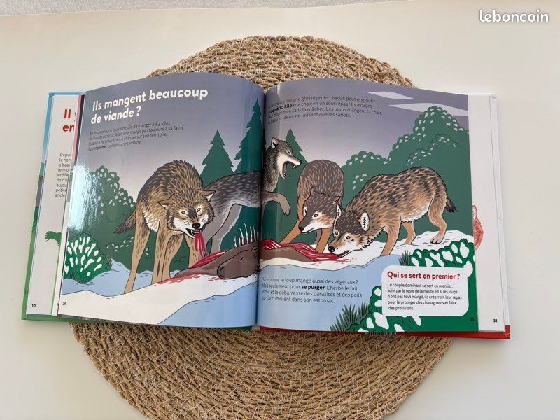 Livre 📕 mes p’tites questions, dès 7 ans, les loups, pages glacées, excellent état (image 13)