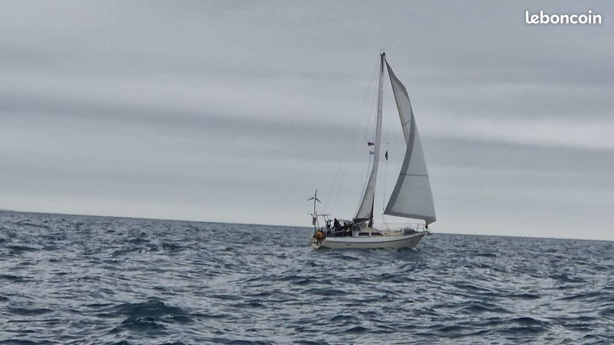 Reinke 10 M — Vedi foto 1