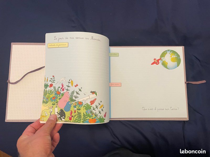Album de naissance Barbapapa (image 2)