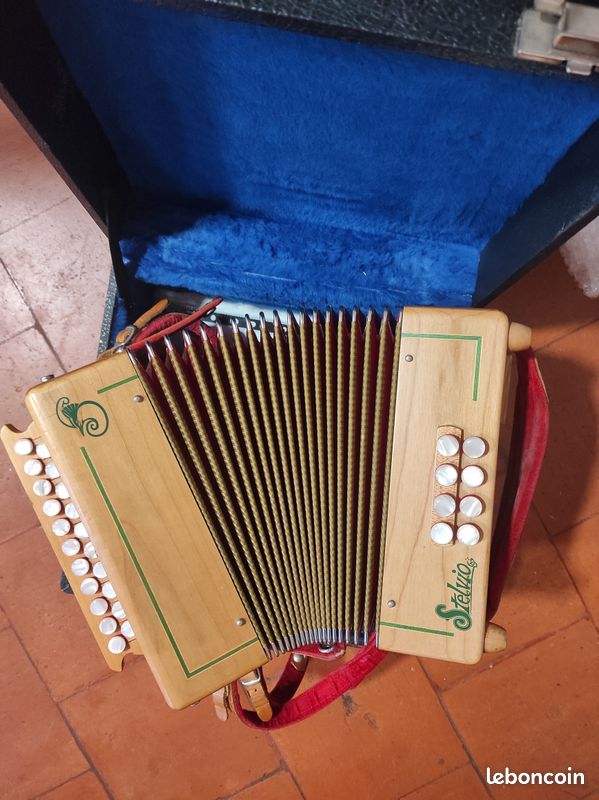 Accordéon diatonique (image 1)
