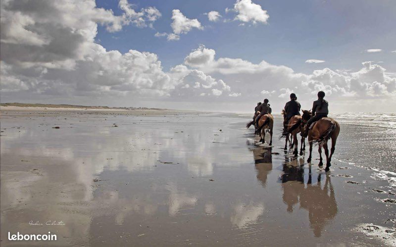 50 m de la plage (image 15)
