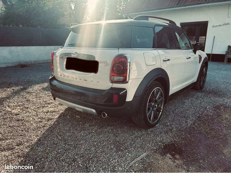 Mini country man (image 2)
