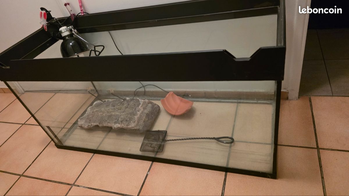 Terrarium (image 1)