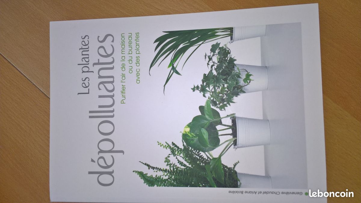 Les plantes dépolluantes (image 1)