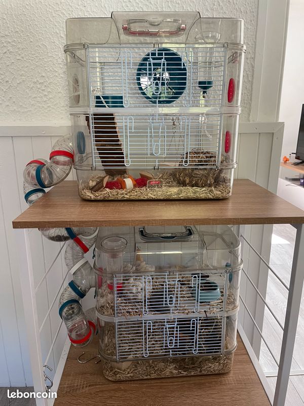 Cage de Hamster (image 2)