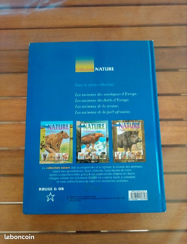 Livre pour enfants - Animaux de la forêt africaine (image 2)
