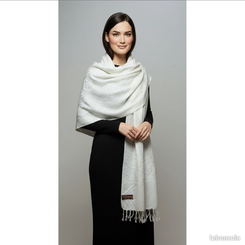 Grand châle Kani Jamavar en laine abstrait et vigne boarder pashmina
