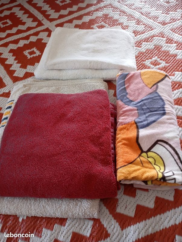 Lot de serviettes éponges 100/100 coton (image 1)
