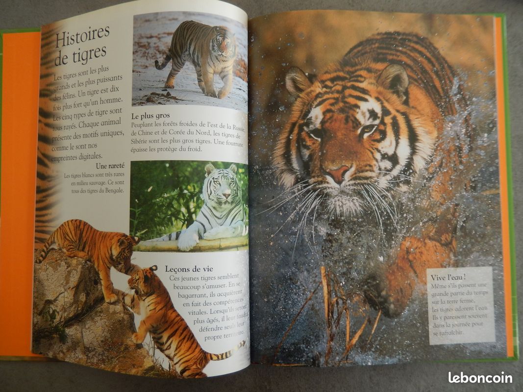 Livres / albums / romans / documentaires enfants TBE (image 7)