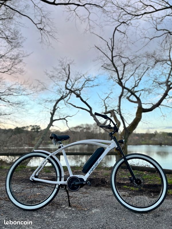 Selle De Vélo Beach Cruiser Ultra Confortable Avec Dossier - Marron - Neuf Originale - Marque F&R
