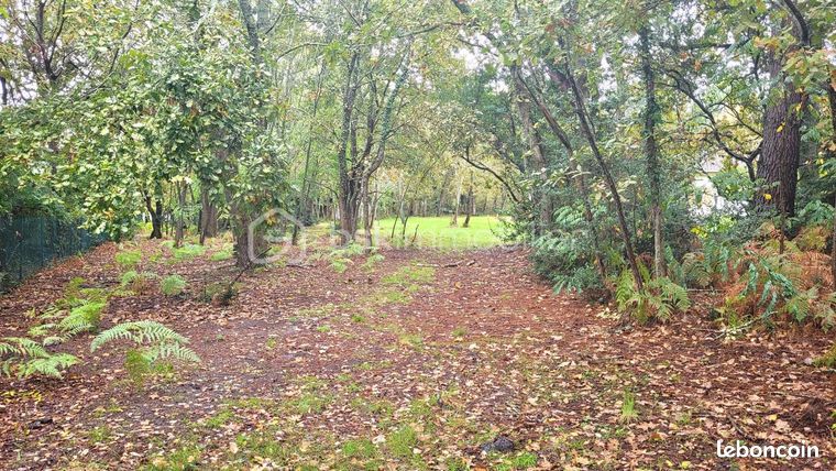 Terrain 1 000 m² Parentis En Born