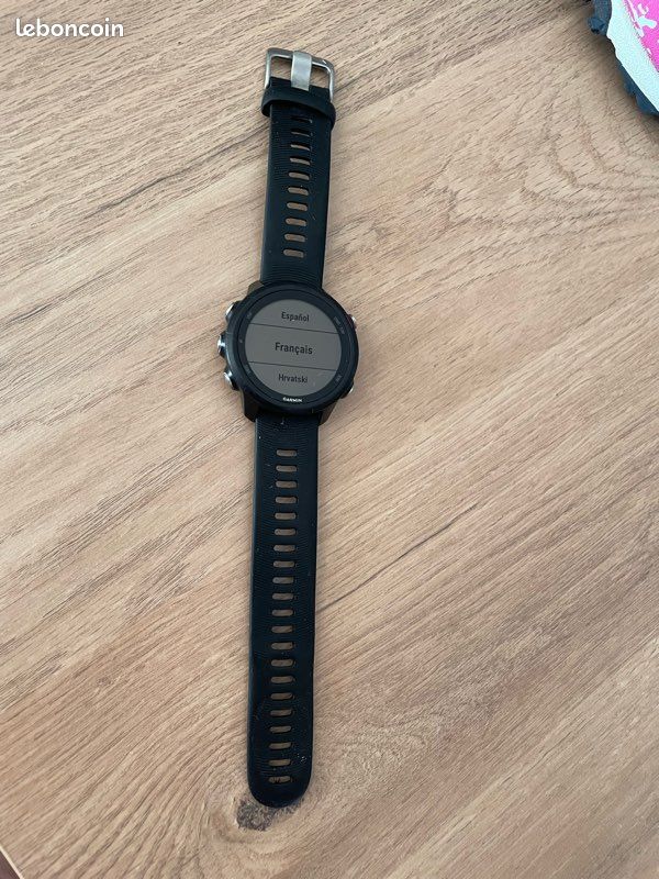 Montre connectée Garmin Forerunner 245 (image 2)