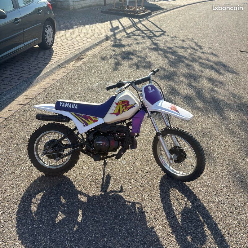 Piwi 80 (image 1)