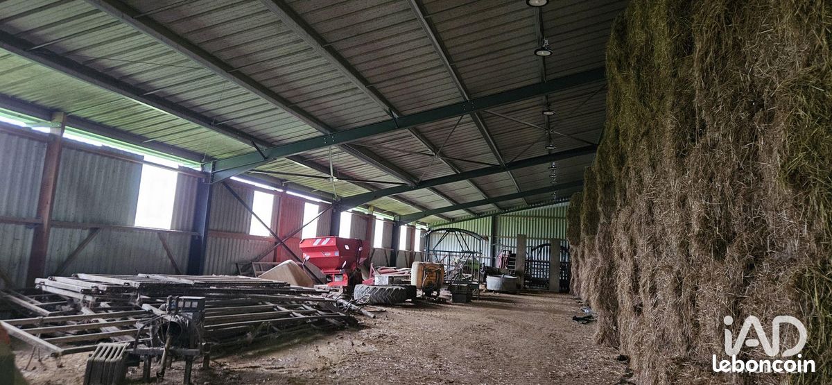 Local 4500 m² BEAUFOU (image 4)