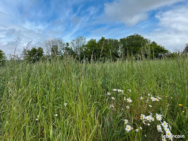 Terrain 300 m² LOPERHET
