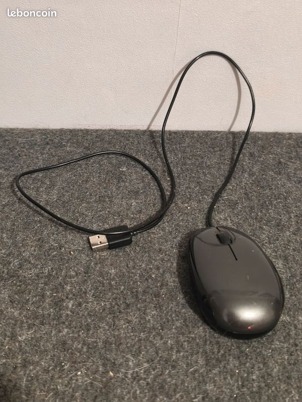 069 souris 1 (image 1)