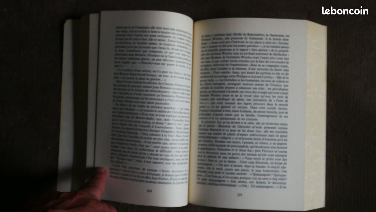 La Sans Pareille - Françoise Chandernagor (image 4)