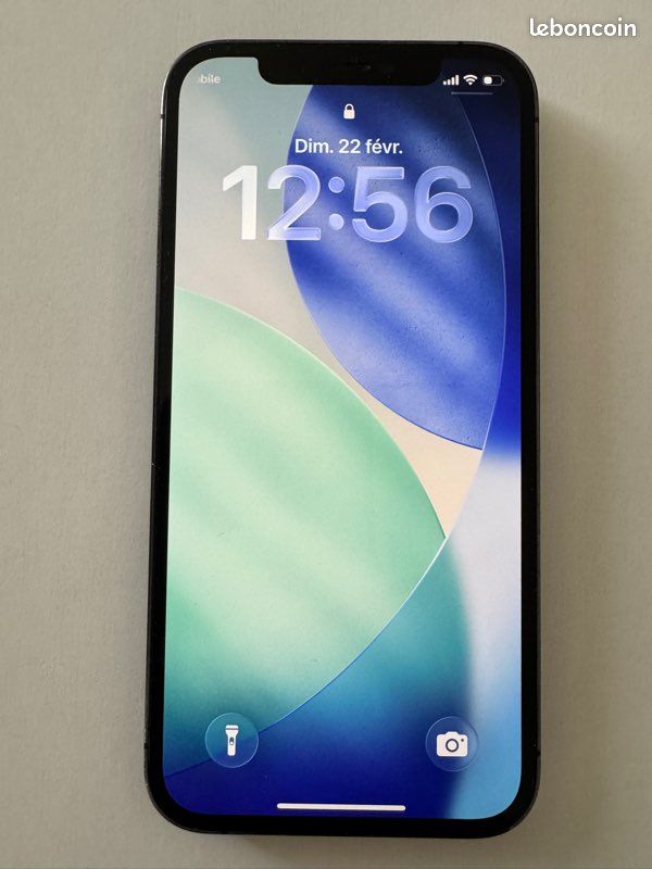 iPhone 12 Pro 256 Go argent reconditionné