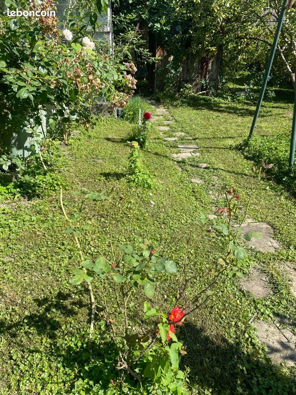 Entretien (image 10)