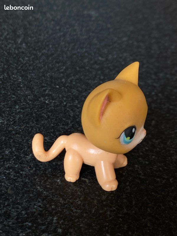 Figurine Littlest Pet Shop – Chat Européen 1643 – Hasbro – Authentique