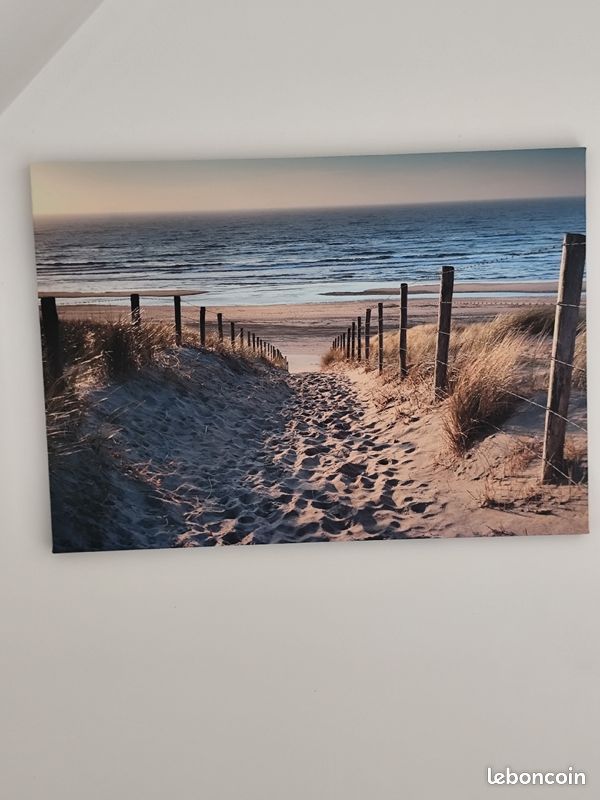 Location maison vacances Merlimont (image 13)