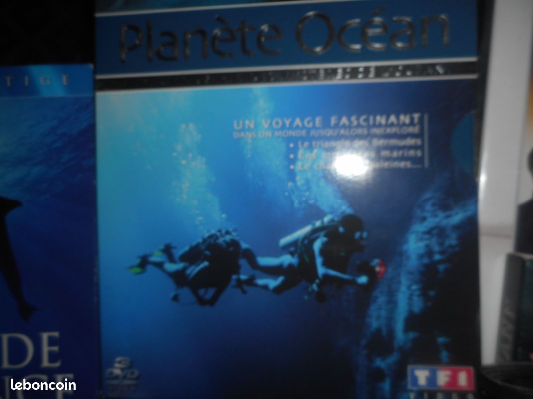 DVD divers (image 5)