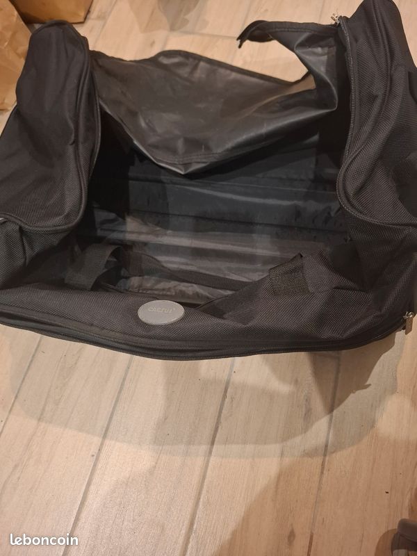 Valise cactus (image 1)