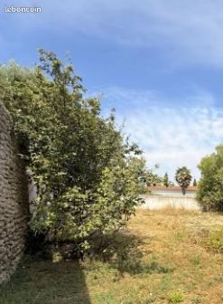 Terrain 248m² · à Sauzé-Entre-Bois · 50 €/mois