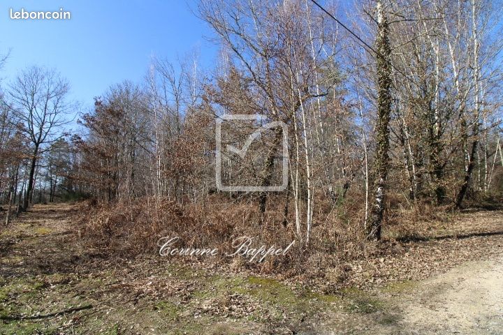 Terrain 2000 m² · à Sarliac-sur-l'Isle · 2 000 m² · 26 900 €
