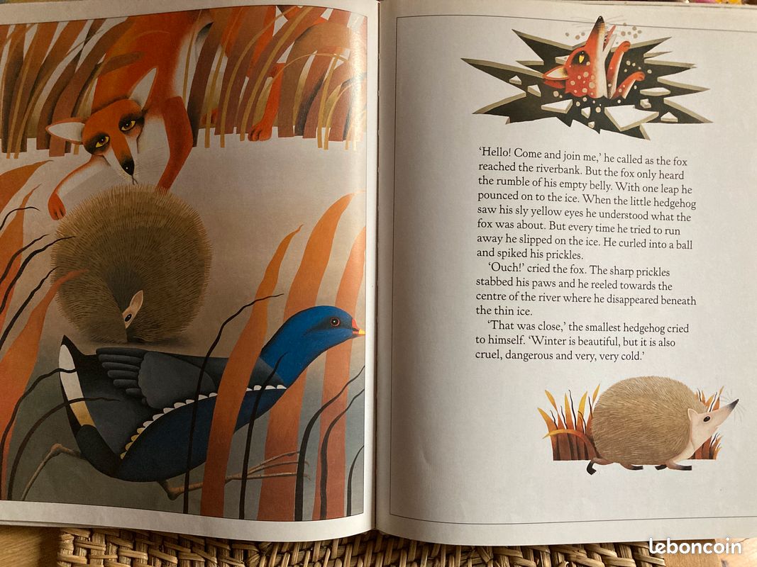Livre enfant en anglais (image 2)