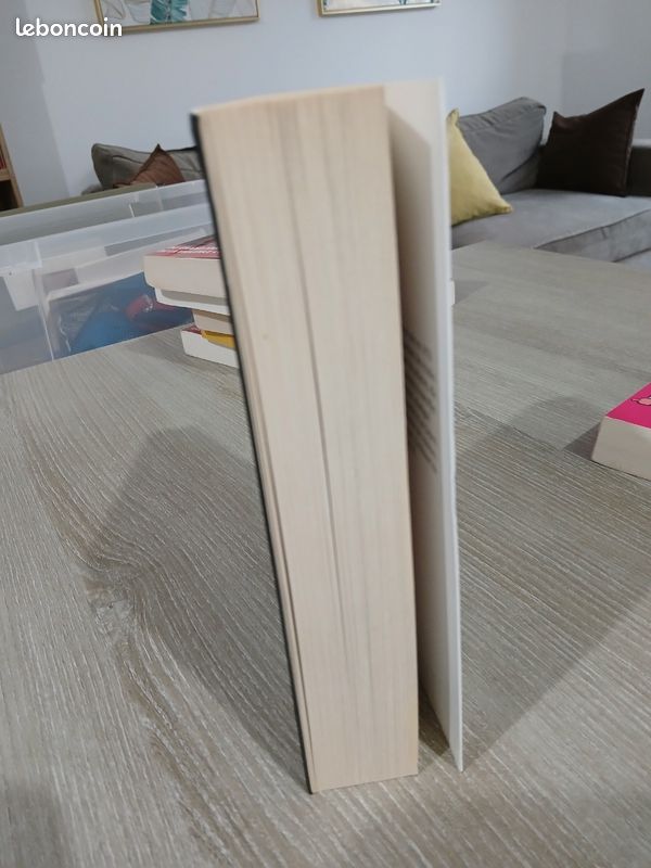Livre La vérité sur Anna de Rebecca James (image 4)