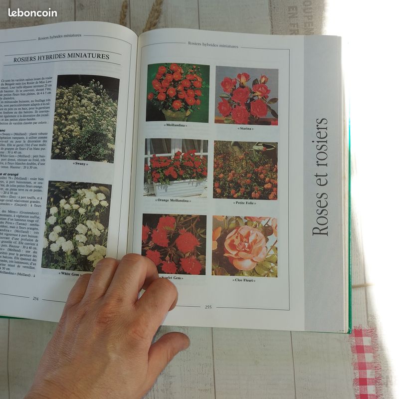 Livre Tout le jardin en 1000 photos 1992 (image 7)