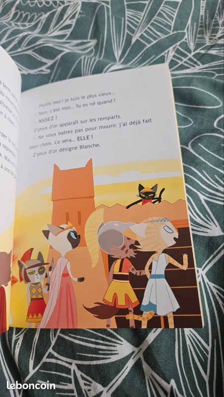 Les chabadas (image 3)